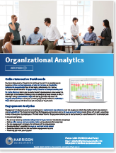 Organizational Competency Analysis